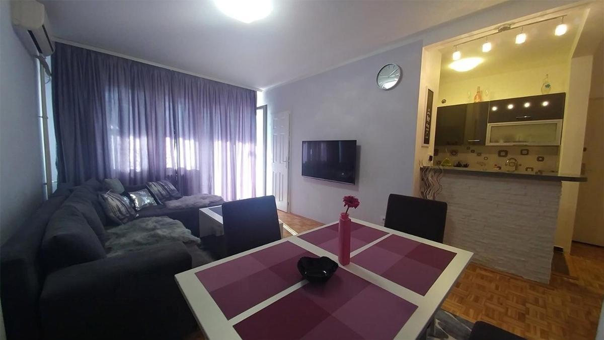 Cezar Apartment 贝尔格莱德 外观 照片