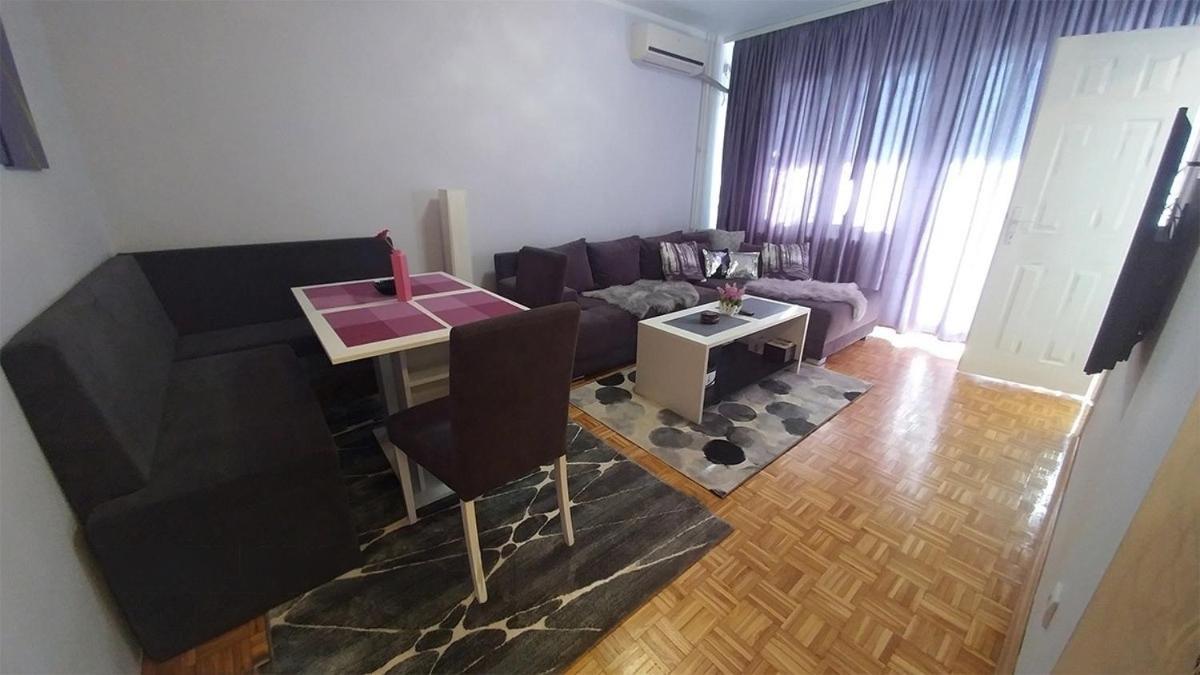 Cezar Apartment 贝尔格莱德 外观 照片