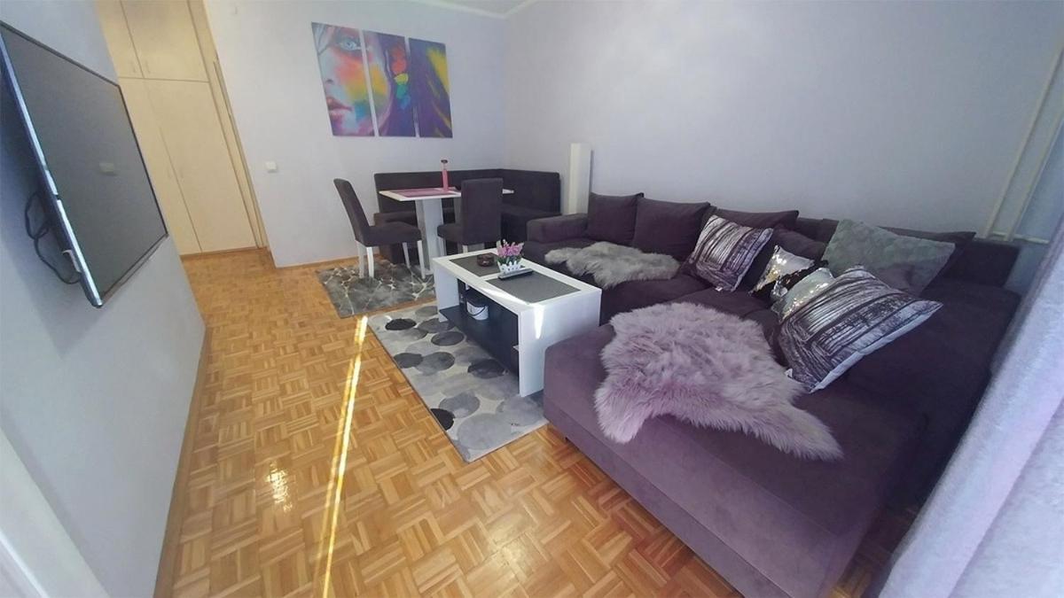 Cezar Apartment 贝尔格莱德 外观 照片