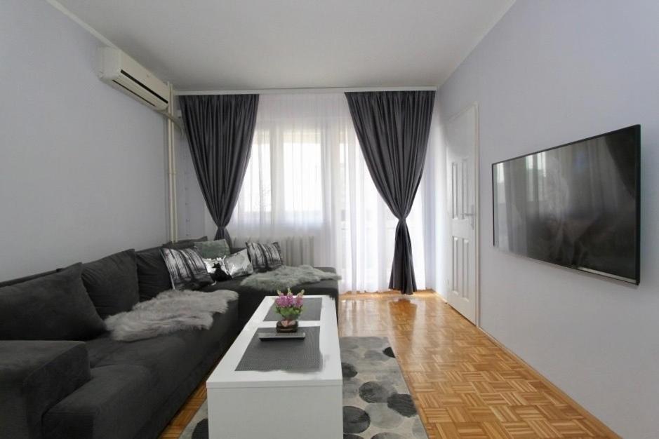 Cezar Apartment 贝尔格莱德 外观 照片