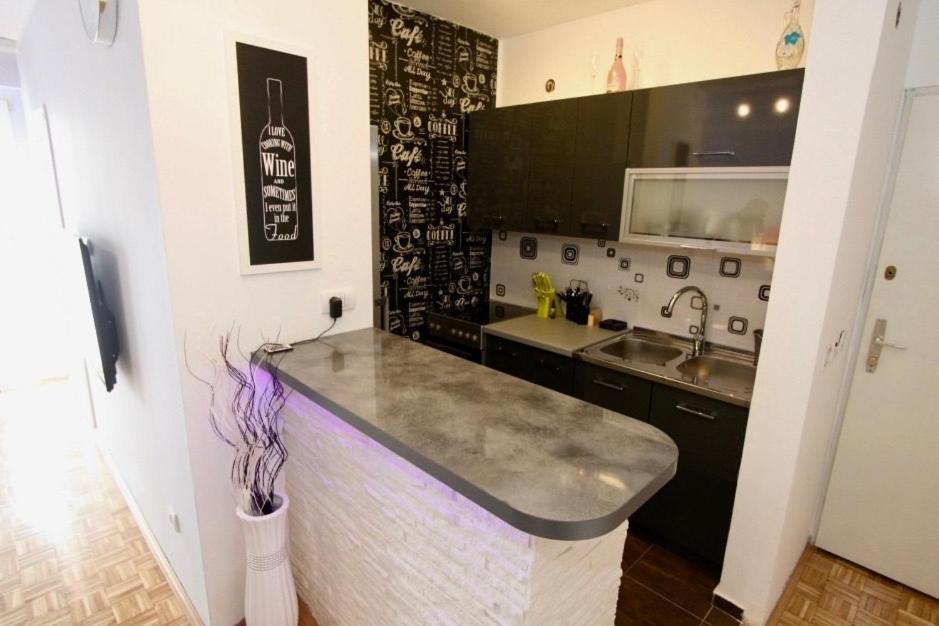 Cezar Apartment 贝尔格莱德 外观 照片