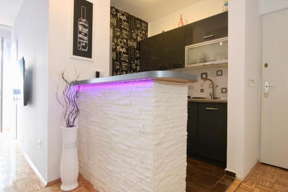Cezar Apartment 贝尔格莱德 外观 照片