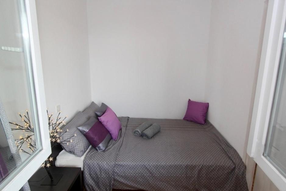 Cezar Apartment 贝尔格莱德 外观 照片