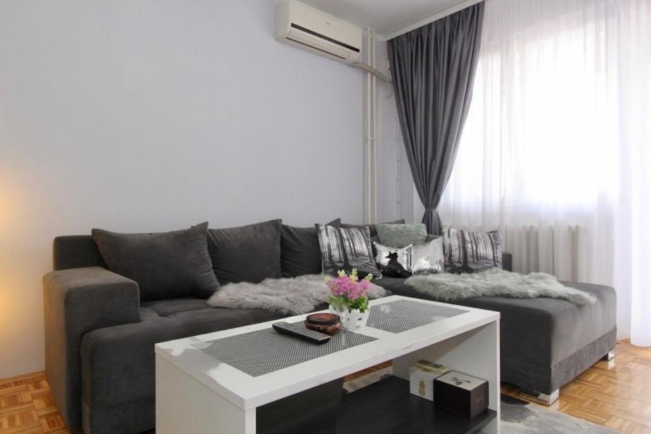 Cezar Apartment 贝尔格莱德 外观 照片