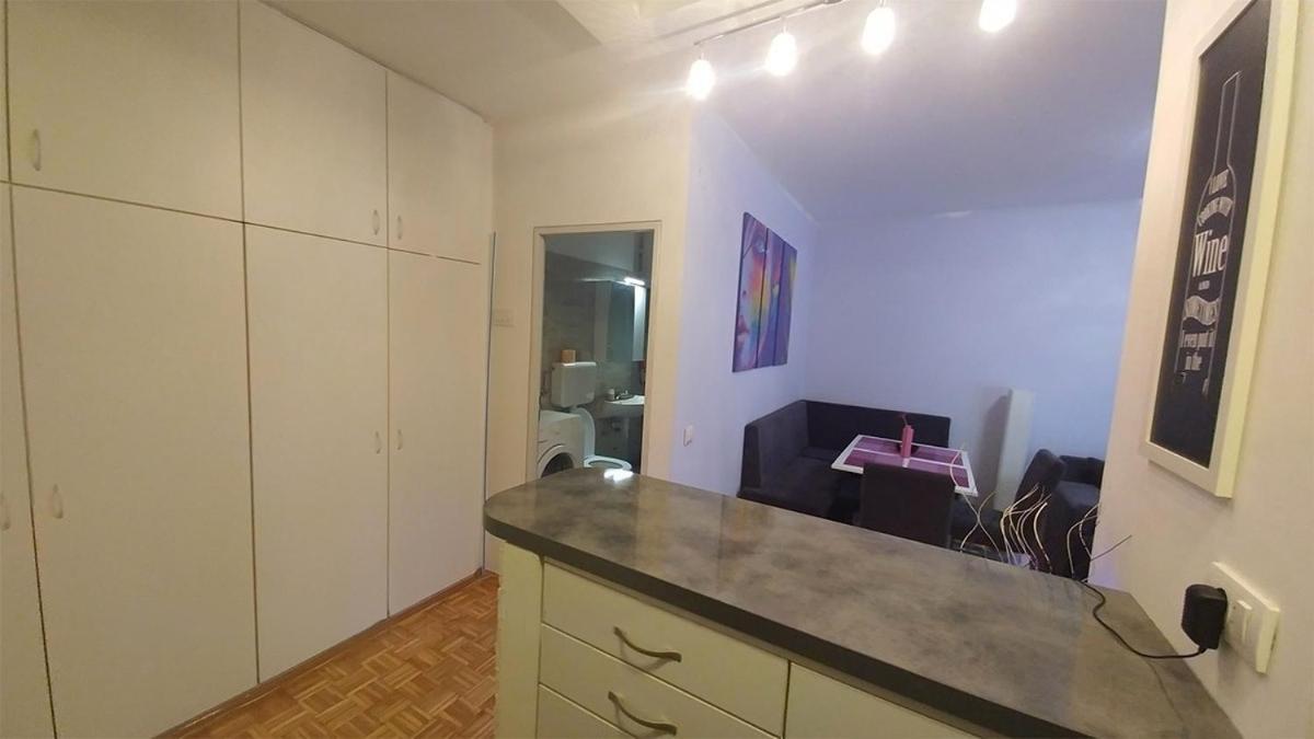 Cezar Apartment 贝尔格莱德 外观 照片