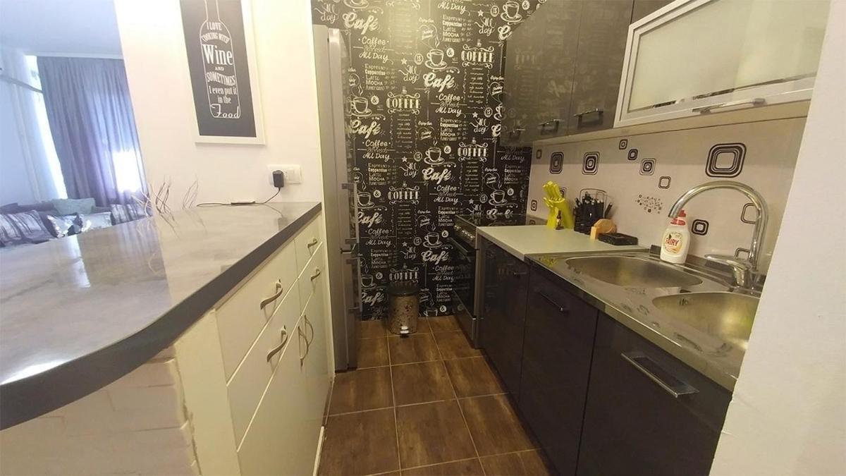 Cezar Apartment 贝尔格莱德 外观 照片