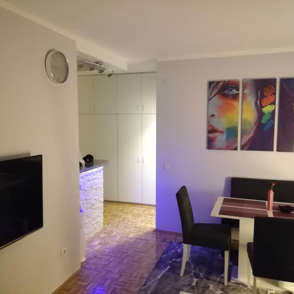 Cezar Apartment 贝尔格莱德 外观 照片